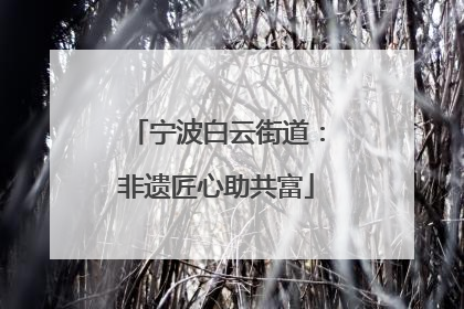 宁波白云街道：非遗匠心助共富