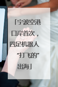 宁波空港口岸首次，四足机器人“打飞的”出海