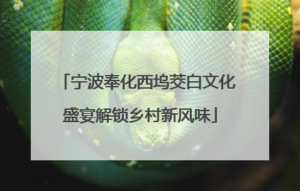 宁波奉化西坞茭白文化盛宴解锁乡村新风味