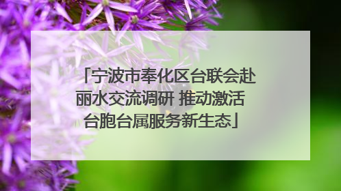 宁波市奉化区台联会赴丽水交流调研 推动激活台胞台属服务新生态
