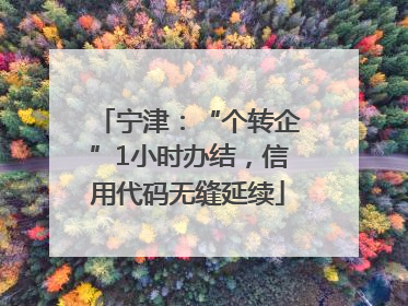 宁津：“个转企”1小时办结，信用代码无缝延续