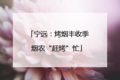 宁远：烤烟丰收季 烟农“赶烤”忙