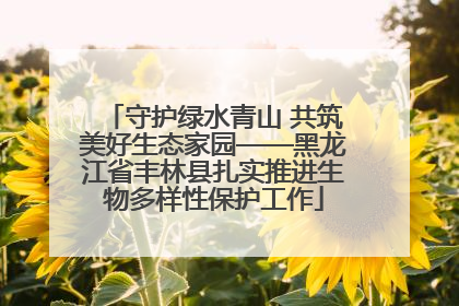 守护绿水青山 共筑美好生态家园——黑龙江省丰林县扎实推进生物多样性保护工作