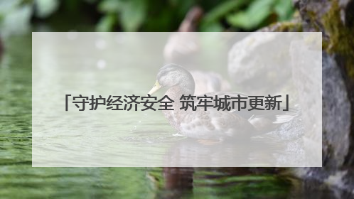 守护经济安全 筑牢城市更新