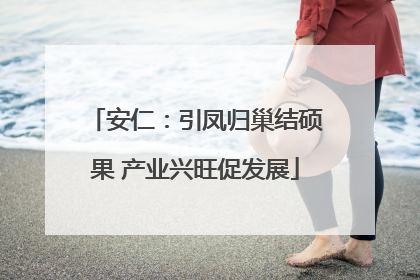 安仁：引凤归巢结硕果 产业兴旺促发展