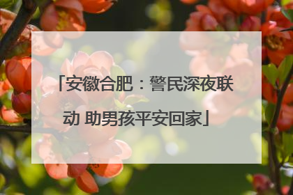 安徽合肥：警民深夜联动 助男孩平安回家