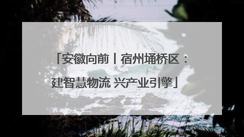 安徽向前丨宿州埇桥区：建智慧物流 兴产业引擎