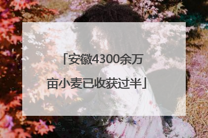 安徽4300余万亩小麦已收获过半