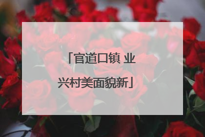 官道口镇 业兴村美面貌新