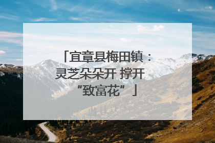 宜章县梅田镇：灵芝朵朵开 撑开“致富花”