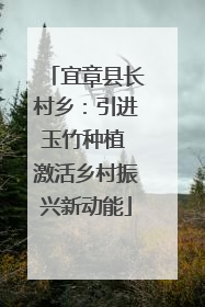 宜章县长村乡：引进玉竹种植 激活乡村振兴新动能