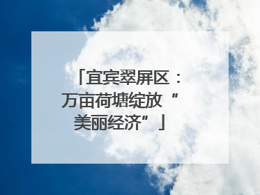 宜宾翠屏区：万亩荷塘绽放“美丽经济”