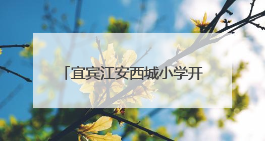 宜宾江安西城小学开展“缤纷故事 妙趣童声”讲故事比赛