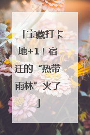 宝藏打卡地+1！宿迁的“热带雨林”火了