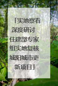 实地察看深度研讨 住建部专家组实地复核城阳城市更新项目