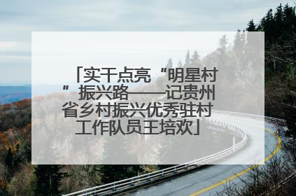 实干点亮“明星村”振兴路——记贵州省乡村振兴优秀驻村工作队员王培欢