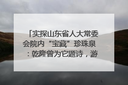 实探山东省人大常委会院内“宝藏”珍珠泉：乾隆曾为它题诗，游客无需预约免费游览