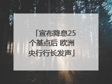 宣布降息25个基点后 欧洲央行行长发声