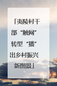 夷陵村干部“触网”转型“播”出乡村振兴新图景