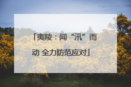 夷陵：闻“汛”而动 全力防范应对