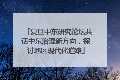 复旦中东研究论坛共话中东治理新方向，探讨地区现代化道路