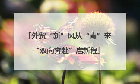 外贸“新”风从“青”来 “双向奔赴”启新程