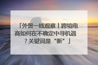 外贸一线观察丨跨境电商如何在不确定中寻机遇？关键词是“新”