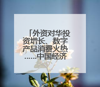 外资对华投资增长、数字产品消费火热……中国经济加力发展动力强劲