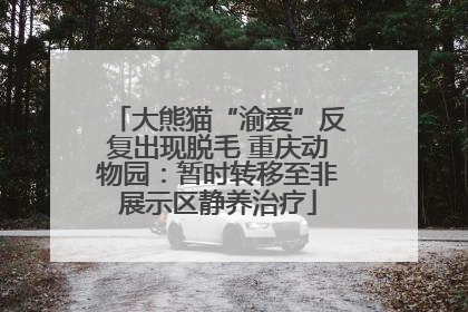 大熊猫“渝爱”反复出现脱毛 重庆动物园：暂时转移至非展示区静养治疗