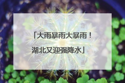 大雨暴雨大暴雨！湖北又迎强降水