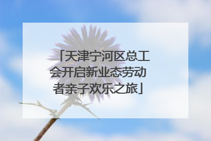 天津宁河区总工会开启新业态劳动者亲子欢乐之旅