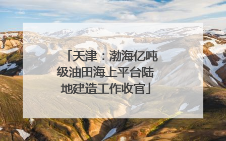 天津：渤海亿吨级油田海上平台陆地建造工作收官