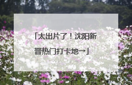 太出片了！沈阳新晋热门打卡地→