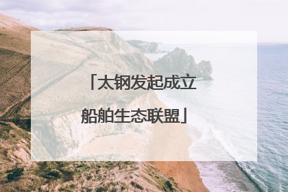 太钢发起成立船舶生态联盟