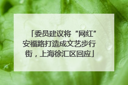 委员建议将“网红”安福路打造成文艺步行街，上海徐汇区回应