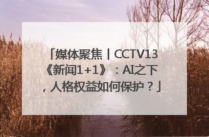 媒体聚焦丨CCTV13《新闻1+1》：AI之下，人格权益如何保护？