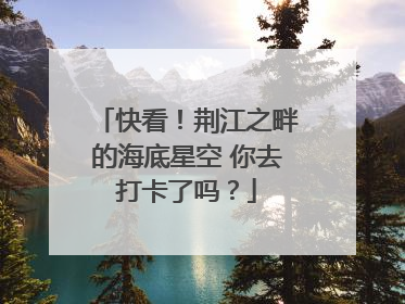 快看！荆江之畔的海底星空 你去打卡了吗？
