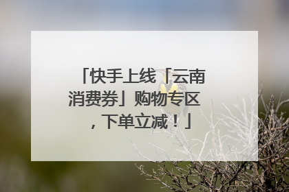 快手上线「云南消费券」购物专区，下单立减！