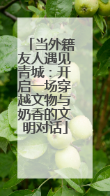 当外籍友人遇见青城：开启一场穿越文物与奶香的文明对话
