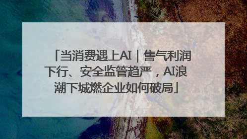 当消费遇上AI｜售气利润下行、安全监管趋严，AI浪潮下城燃企业如何破局