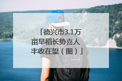 德兴市3.1万亩早稻长势喜人 丰收在望（图）