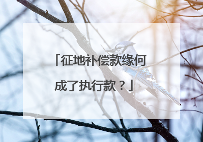征地补偿款缘何成了执行款？