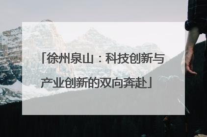 徐州泉山：科技创新与产业创新的双向奔赴