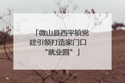 微山县西平镇党建引领打造家门口“就业圈”