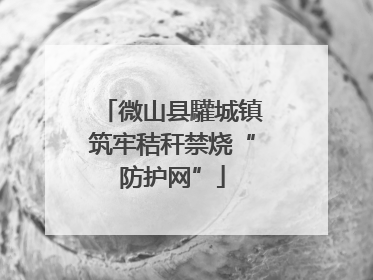 微山县驩城镇筑牢秸秆禁烧“防护网”