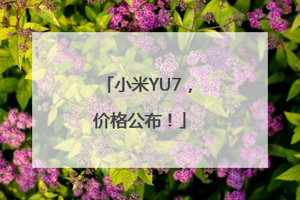 小米YU7，价格公布！
