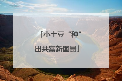 小土豆“种”出共富新图景