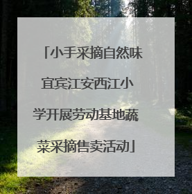 小手采摘自然味 宜宾江安西江小学开展劳动基地蔬菜采摘售卖活动