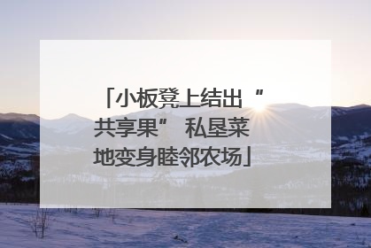 小板凳上结出“共享果” 私垦菜地变身睦邻农场