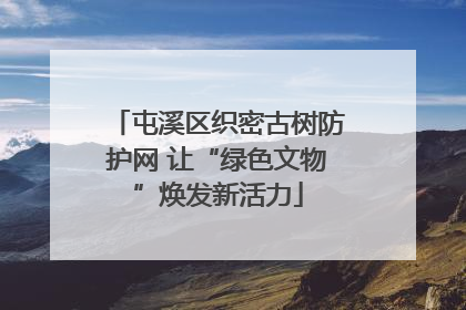 屯溪区织密古树防护网 让“绿色文物”焕发新活力
